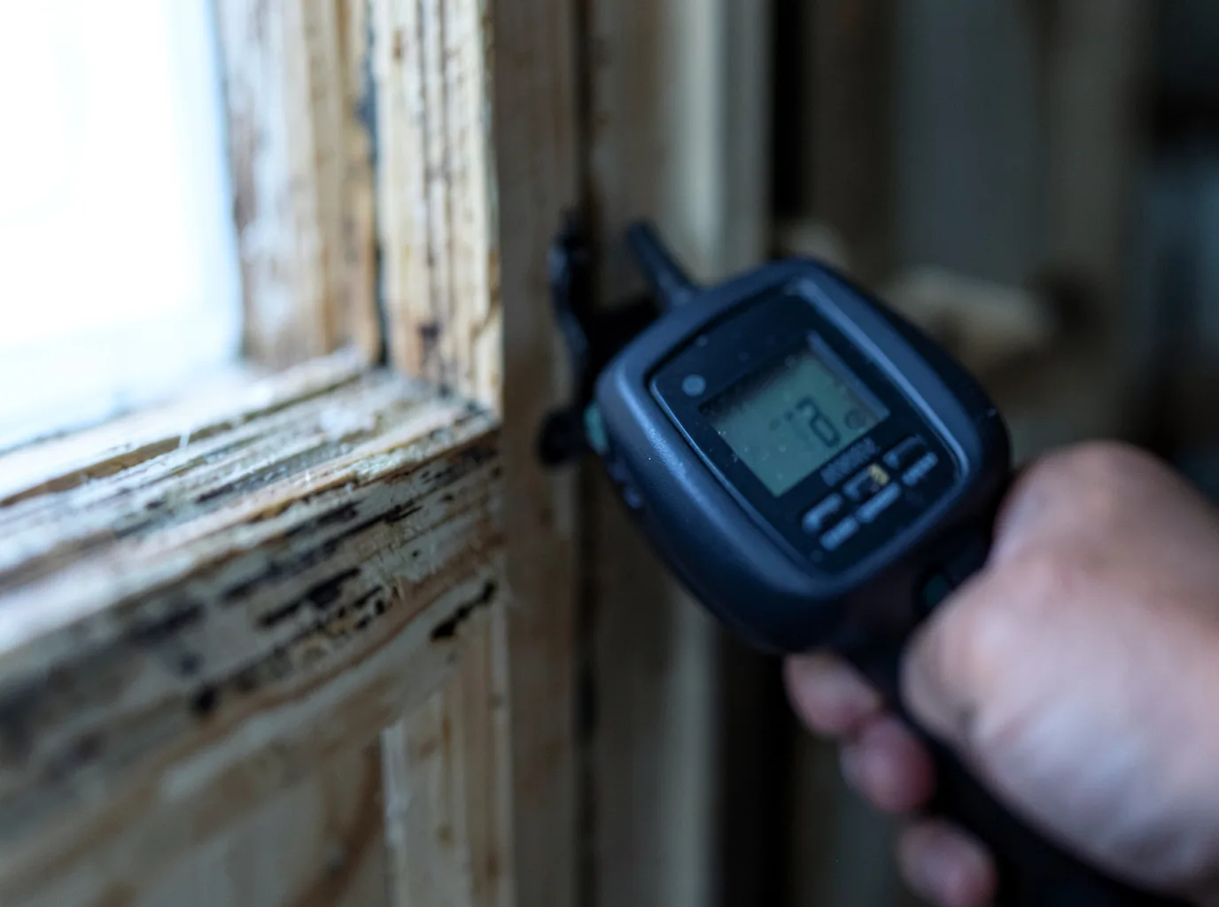Moisture Inspection And Documentation in Pecan Gap, TX